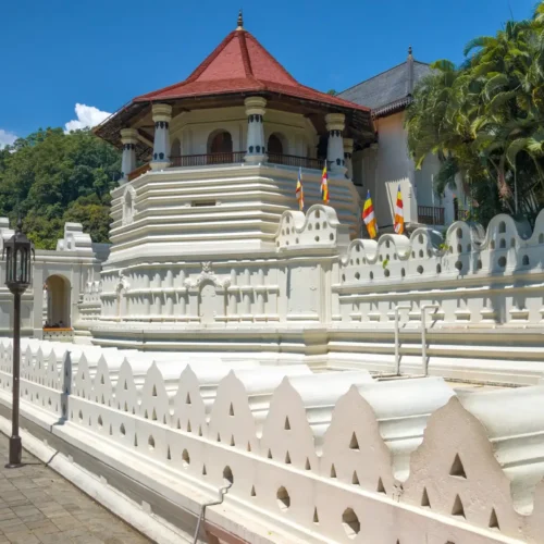 7-Day Sri Lanka Family Discovery Tour
