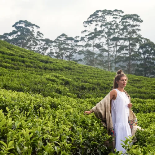 7-Day Classic Sri Lanka Highlights Round Tour
