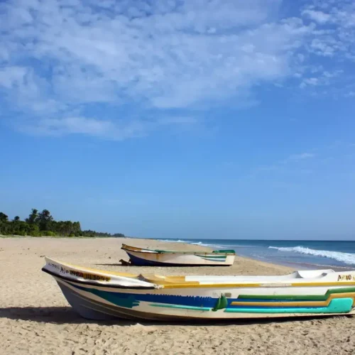 9-Day Sri Lanka Highlights: Heritage, Central Highlands & Nilaveli Coast